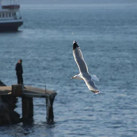 My Way Terrace Hotel Hotel